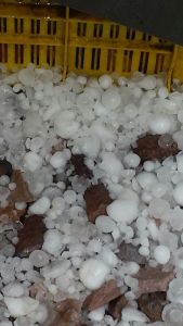 Large sized hail stones heaped as the hailstorm caught Kupwara